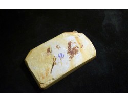 Природний камінь Maruichi Nakayama Asagi 433g -foto7