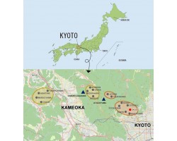Природний камінь Okudono Tomae 350г для бритв-foto8