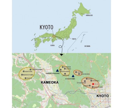 Японський Природний точильний камінь Shohonyama Okudo Renge Suita 259 г із Кіото
