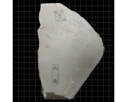 Природний камінь Ozuku Asagi 560g Природний камінь Ozuku Asagi 560g