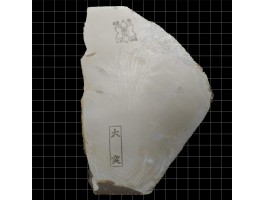 Природний камінь Ozuku Asagi 560g 