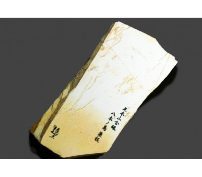 Японський Природний  водний камінь Yaginoshima Shiro (White) Suita 674g from Kyoto Japan
