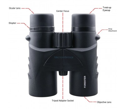 Бінокль VECTOR OPTICS FORESTER 10X42 ROOF SCBO-02