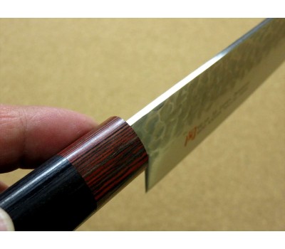 Iseya I-series VG-10 Damascus Chef (Santoku) 180mm 