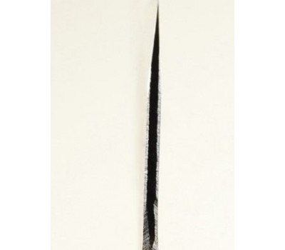 Moritaka ніж Gyuto Aogami Super Blue Steel 210 mm