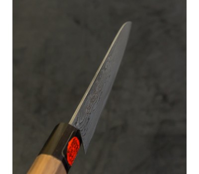 Shigeki Tanaka HSS R2 "HARUKAZE (Весінній вітер)" Gyuto (шеф) 210mm
