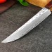 Chang Keng Damascus Petty, універсальний ніж, 123мм