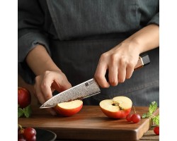 Xinzuo ZHEN ніж (Petty) 138mm сталь 12Cr18MoV-foto6