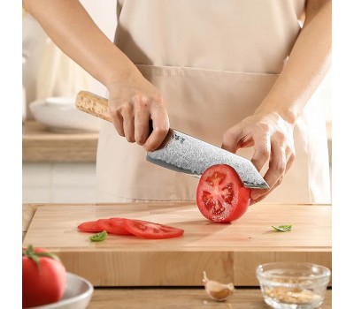 HEZHEN Aogami Blue Steel No.2 Damascus Бунка ніж 215 mm