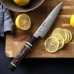 HEZHEN ZDP189 Damascus Petty, універсальний ніж, 141мм