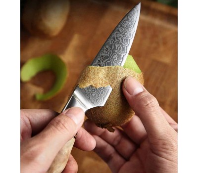 HEZHEN Master series Damascus Paring, овочевий ніж, 93мм HEZHEN Master series Damascus Paring, овочевий ніж, 93мм