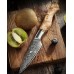 HEZHEN Master series Damascus Paring, овочевий ніж, 93мм HEZHEN Master series Damascus Paring, овочевий ніж, 93мм