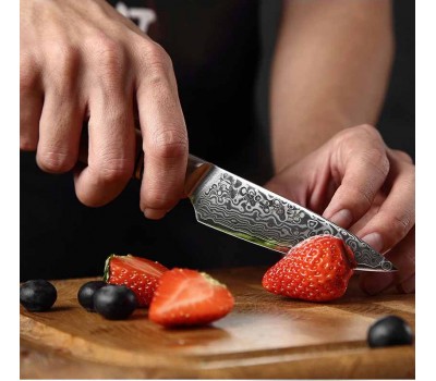 HEZHEN Master series PRO Damascus Paring, овочевий ніж, 93мм
