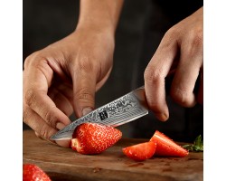 Xinzuo Yu Damascus Paring, овочевий ніж, 93мм-foto3