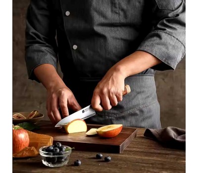 Xinzuo ZDP189 ніж (Petty) 138mm порошкова сталь 65-67 HRC в обкладках з нержавіючої сталі