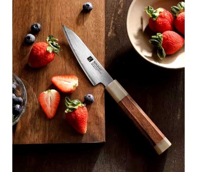 Xinzuo ZDP189 овочевий ніж 110mm порошкова сталь 65-67 HRC в обкладках з нержавіючої сталі