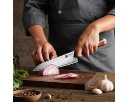Xinzuo ZDP189 Шеф (Gyuto) 210mm-foto8
