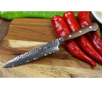 Набір кухонних ножів Xinzuo Yun 4 шт 