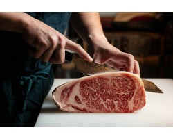 ZUIUN Damascus Gyuto, шеф ніж, 210мм-foto3