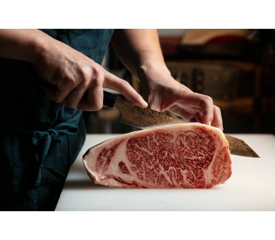 ZUIUN 9305 - Кухарський ніж з дамаської сталі з клинком 210 мм. Kanetsugu, Японія ZUIUN 9305 - Кухарський ніж з дамаської сталі з клинком 210 мм. Kanetsugu, Японія