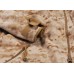 Флісова кофта USMC Desert Digital Polartec