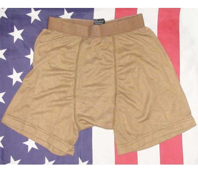 Термобілизна труси PCU Level 1, Brown