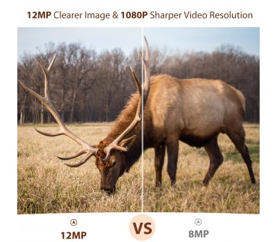 Камера для спостережень за тваринами HT001B Камера для спостережень за тваринами HT001B