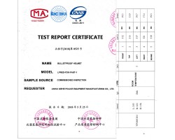 Шолом Н2-foto5